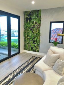 Indoor Plants in Residential Home
