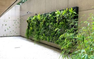 Everything You Need To Know About Green Walls