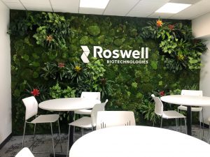 Roswell Green Wall