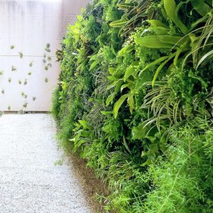 451A STREET Life wall