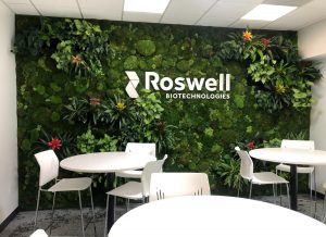 Roswell-Green-Wall