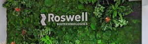 Roswell mosswal project