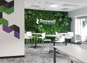 Roswell mosswall project