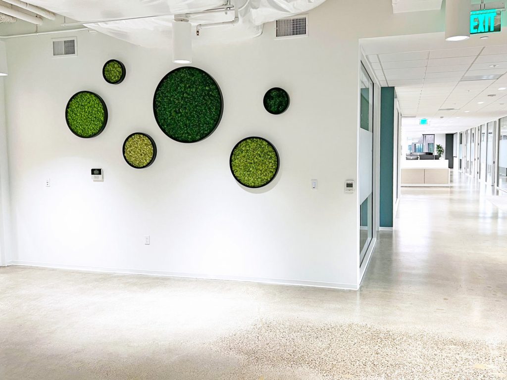 Corporate office hallway with circular moss walls
