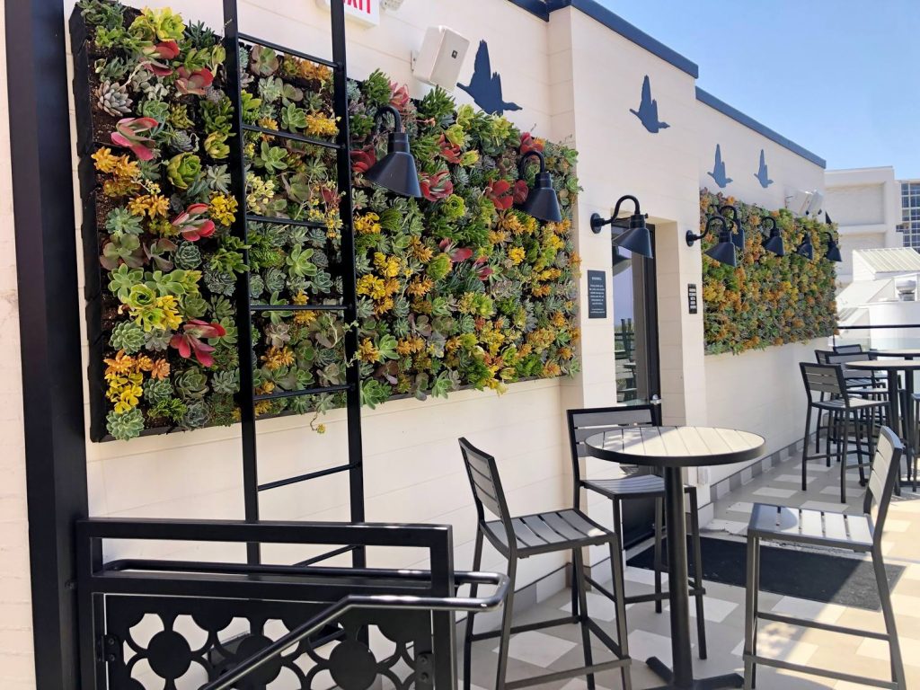 Succulent living wall for outdoor bar