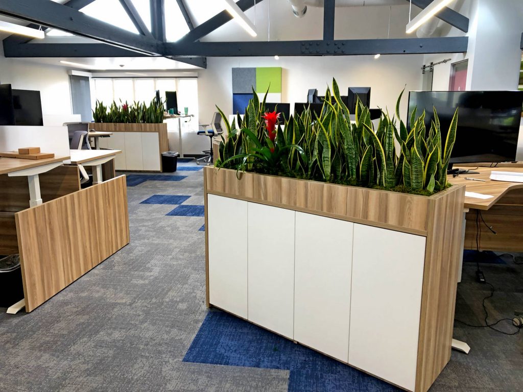 Plant dividers for corporate office work stations