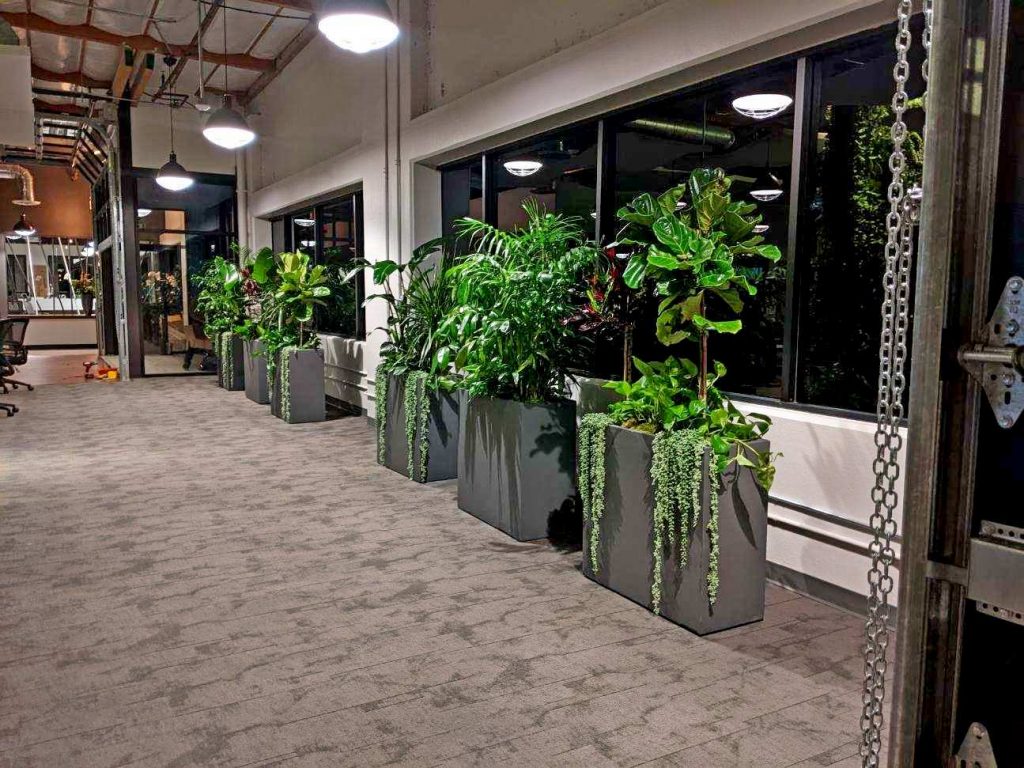 Dividers with tropical plants in modern office