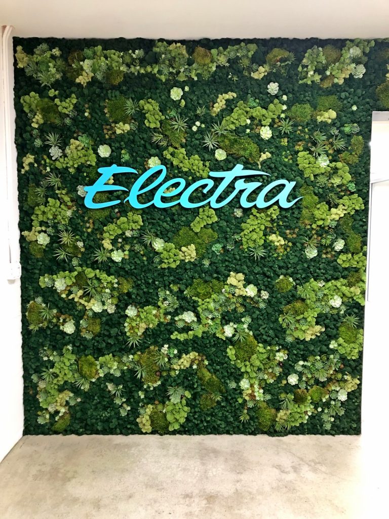 Preserved moss wall with custom blue acrylic logo