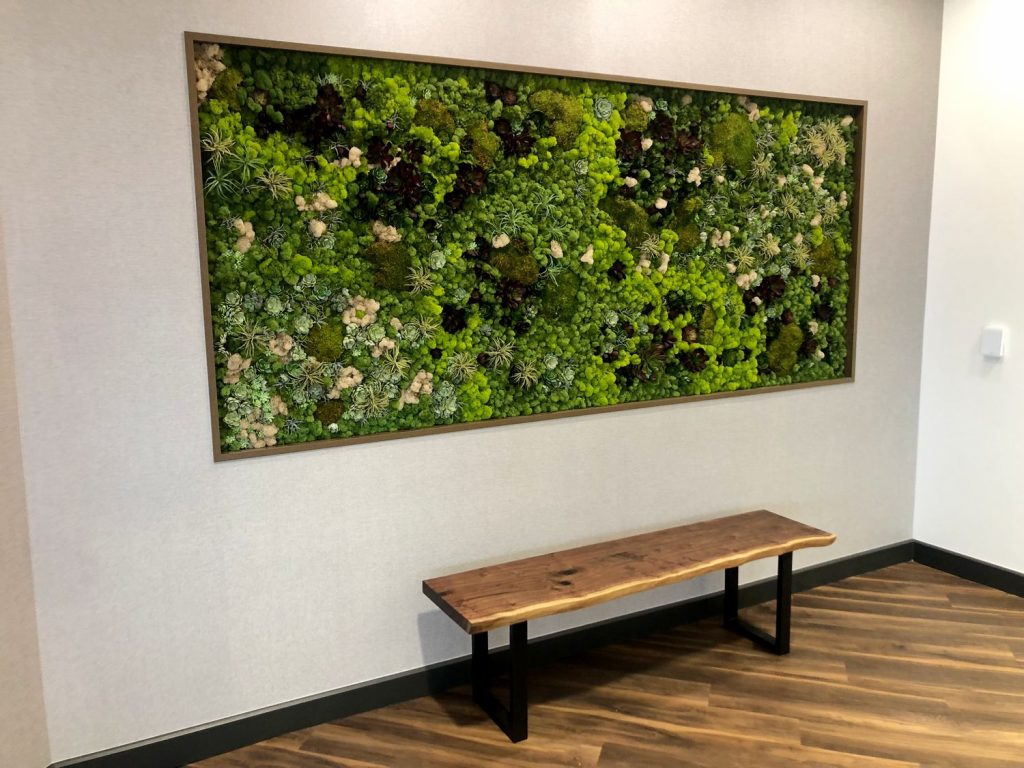 Moss artwork with walnut frame