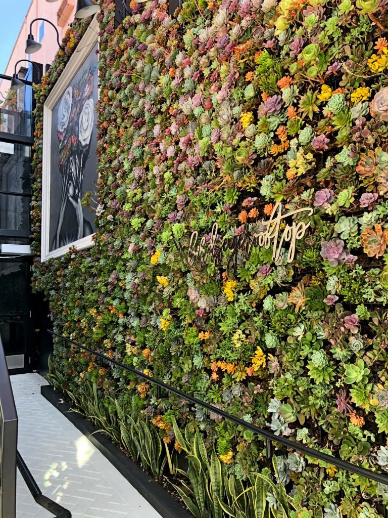 Outdoor succulent plant wall for hotel entrance