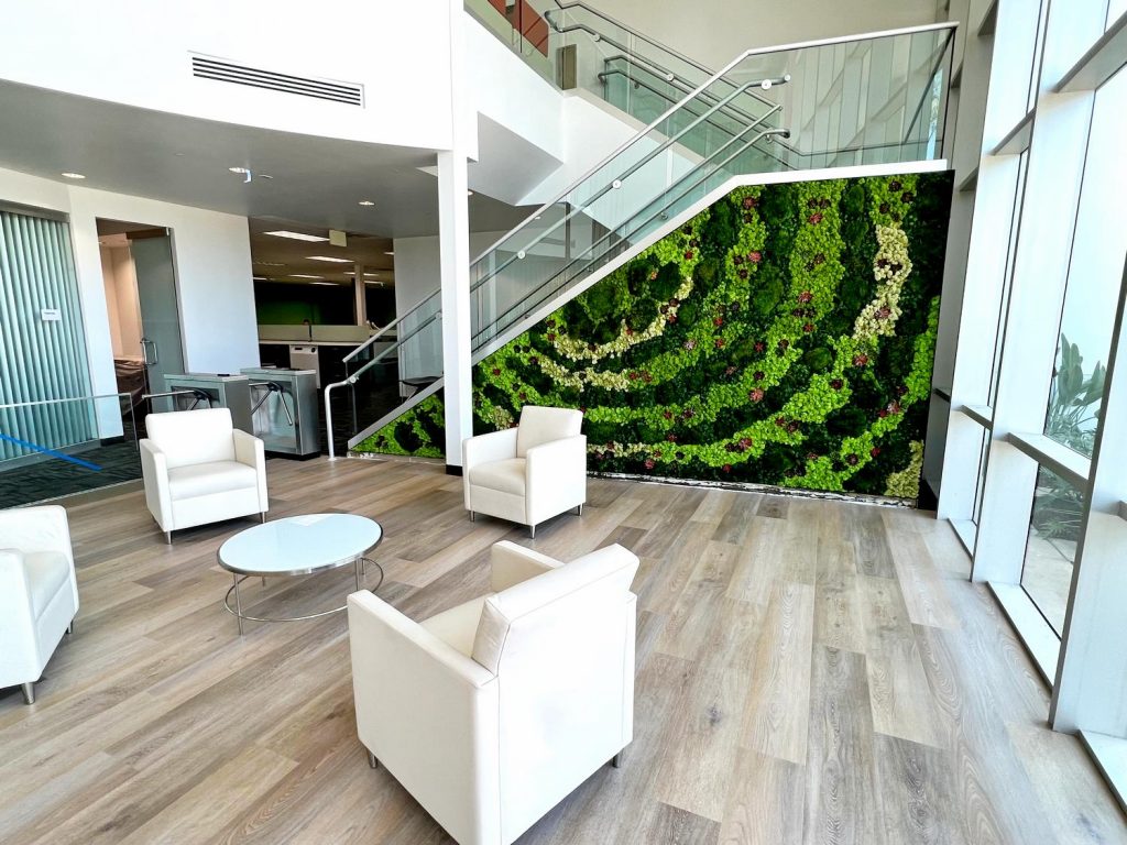 Custom preserved moss wall design for corporate office.