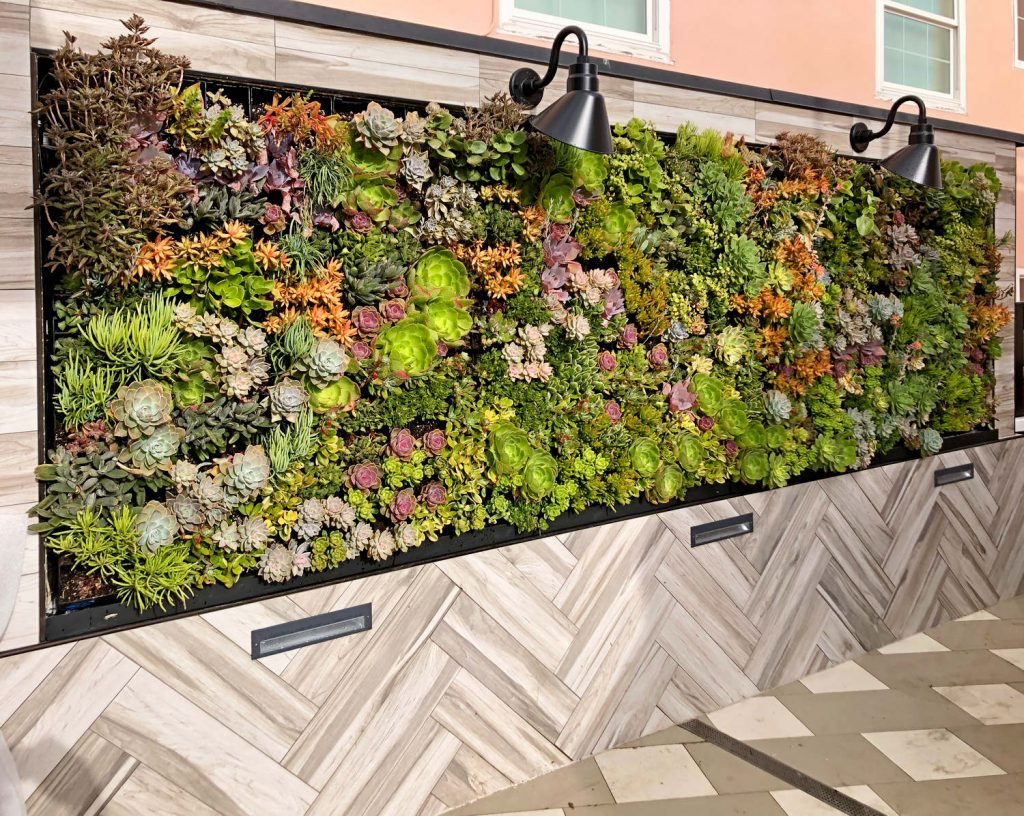 Living wall with succulents for outdoor bar