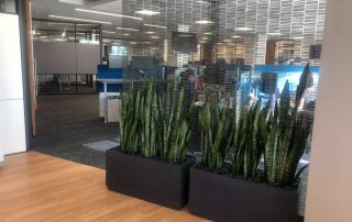 How Business Owners Can Use Plants to Entice Employees Back to the Workplace