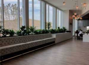 A variety of tropical plants placed in a built-in planter in the reception space