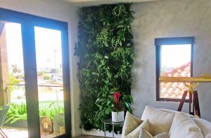 5 Elements Interior Landscapers Consider When Selecting Plants for Your Environment2