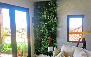 5 Elements Interior Landscapers Consider When Selecting Plants for Your Environment2