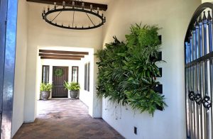 Residential Living Green Wall