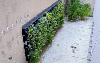 What are the Benefits of Green Walls