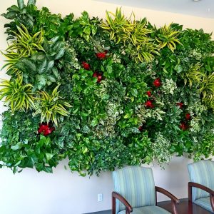 Kaiser-Permanente-Living-Wall