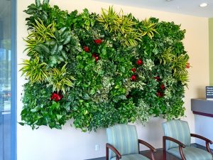 Kaiser Permanente Living Wall