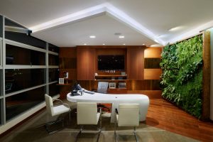 Living Wall Care & Maintenance Tips