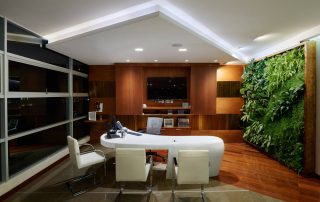 Living Wall Care & Maintenance Tips