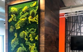 Moss Wall Art to Inspire your Next Project