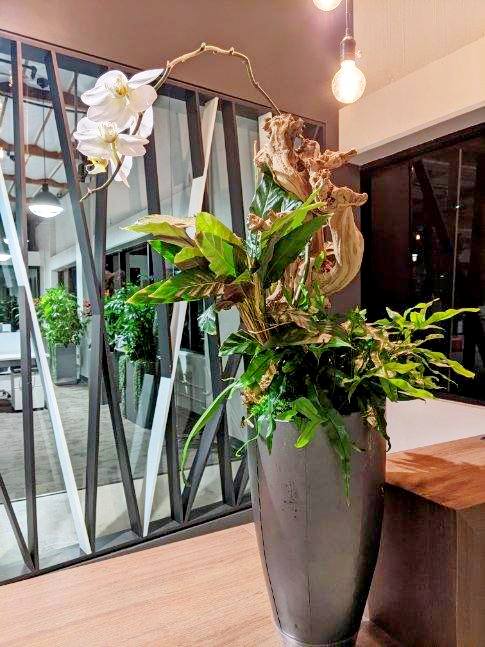Modern orchid flower bowl for reception desk with drift wood