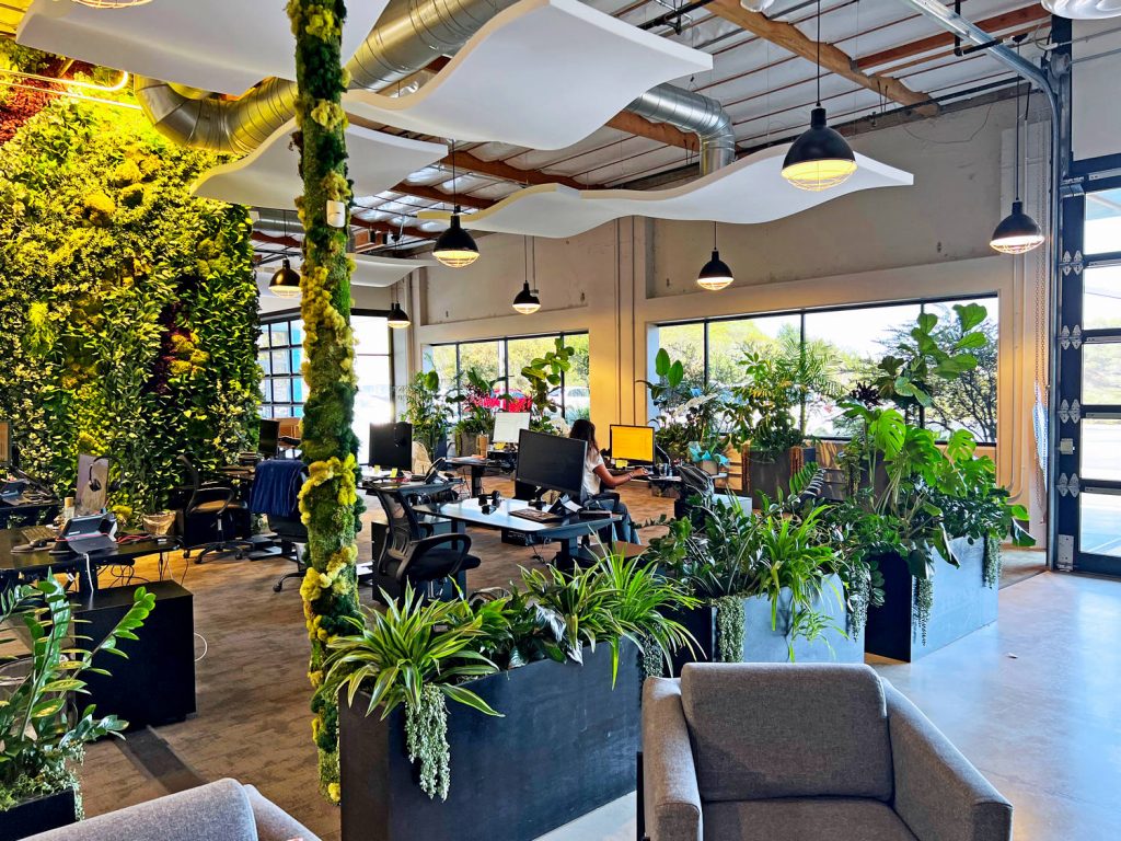 Live plants and preserved surround workstations for company headquarters