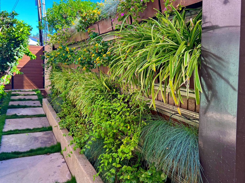 Living wall for private residence