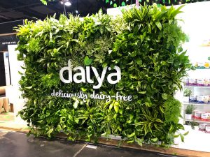 Living Wall - Your Questions About Living Walls Answered