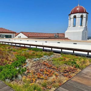 SDSU Live Roof cover