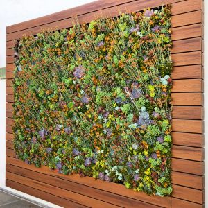 SDSU – Succulent Plant Wall cover v1