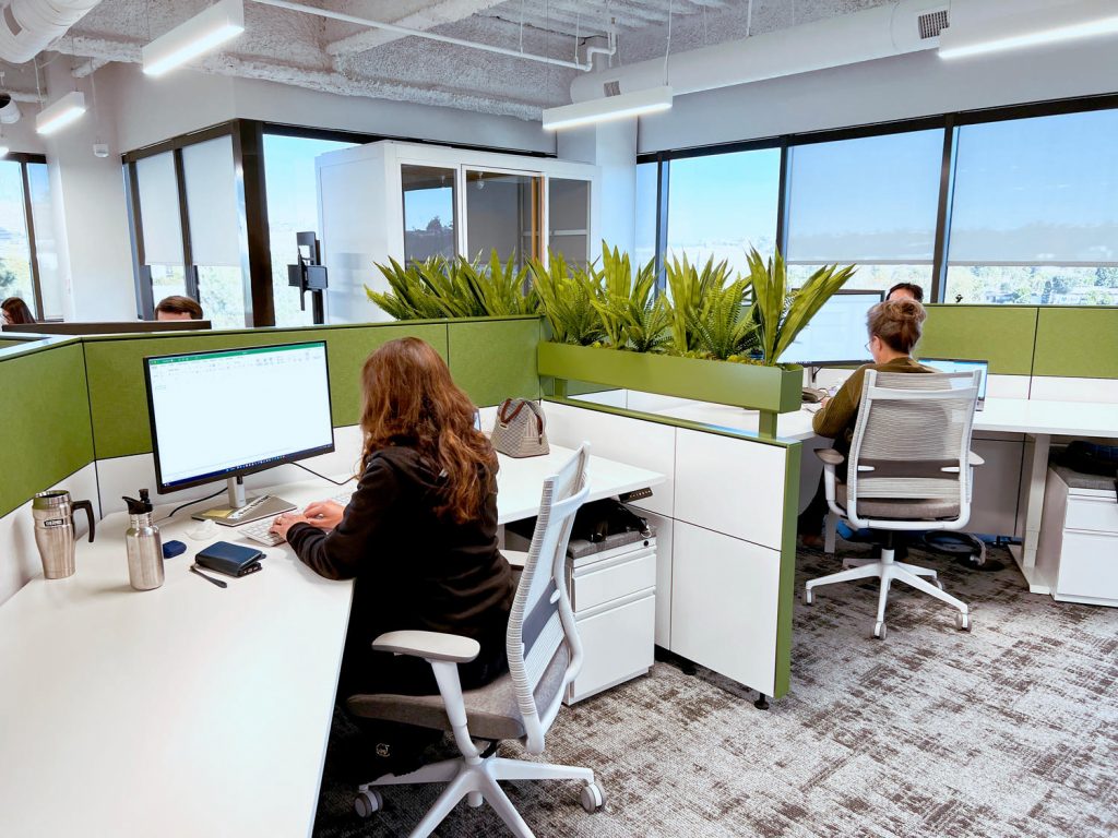Faux plants brighten modern employee cubicles
