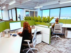 Top Biophilic Plant Trends for 2023