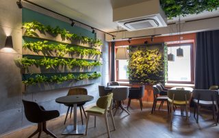 5 Best Plants for Restaurants