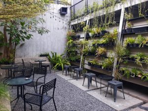 5 Best Plants for Restaurants