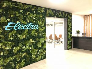 Electra - Everything You Need to Know About PlantMoss Logos