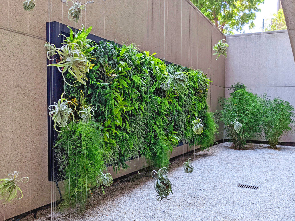 Commercial Living Wall [The Power of Living Walls in Commercial Environments]
