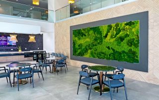 Moss Wall in Commercial space - 4 Reasons Why your Business Needs a Moss Wall