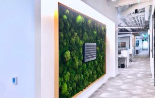 How Moss Walls Can Help Build Your Corporate Identity