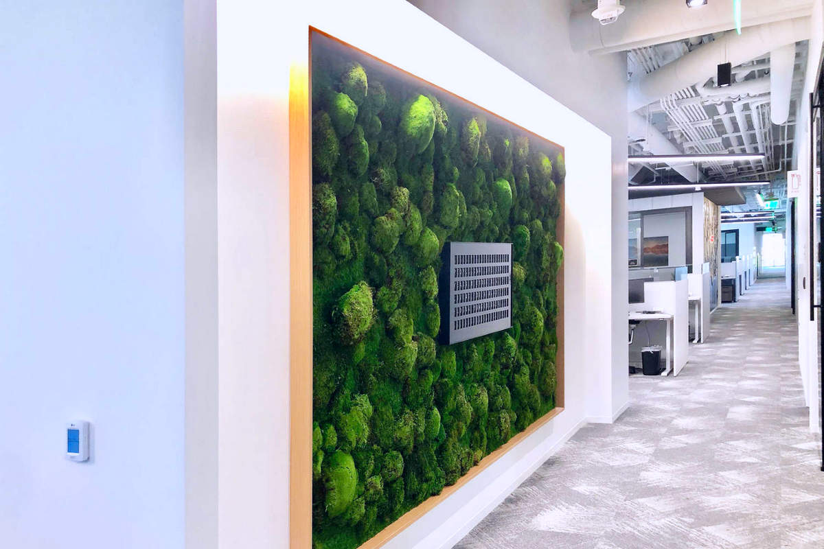 How Moss Walls Can Help Build Your Corporate Identity