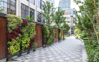 How Living Plant Walls Contribute to Eco-Friendly Spaces