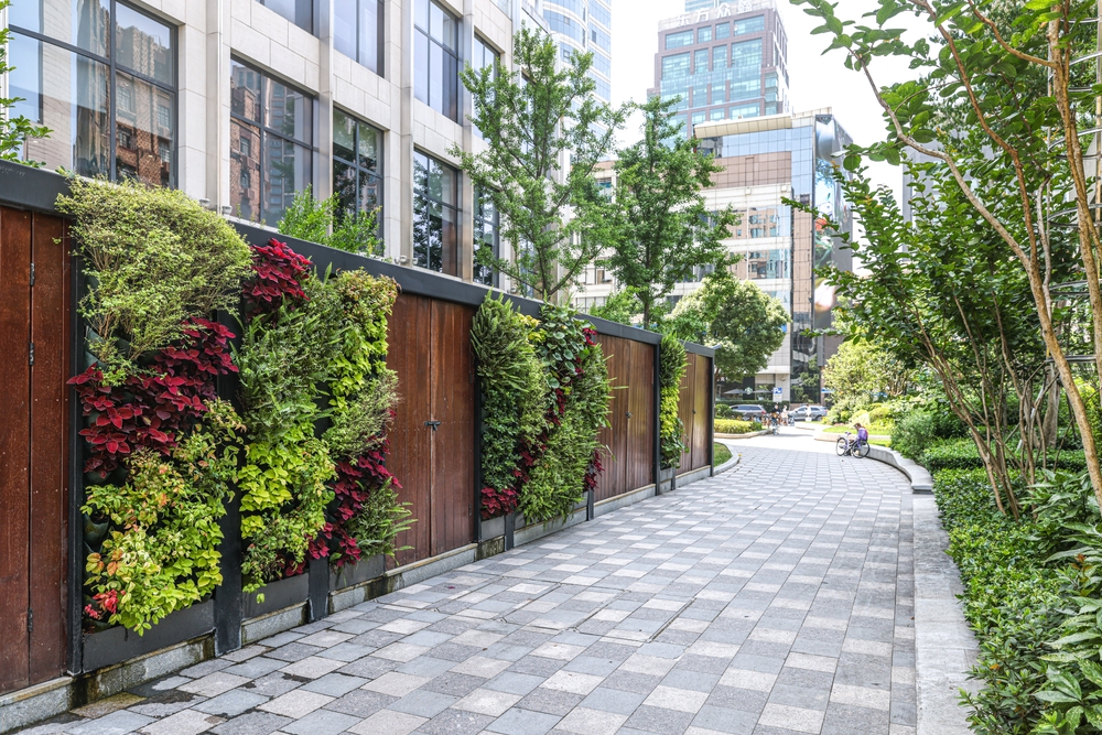How Living Plant Walls Contribute to Eco-Friendly Spaces