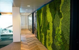 Corporate Brand Identity with Moss Walls