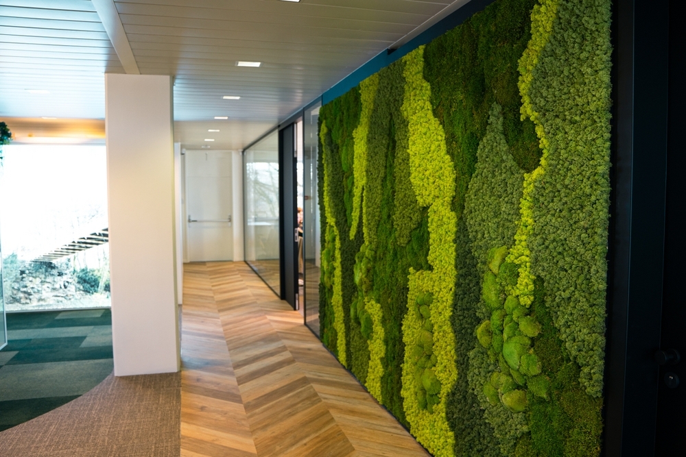 Corporate Brand Identity with Moss Walls