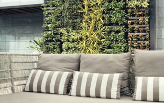 Psychological Effects of Living Walls in Urban Environment