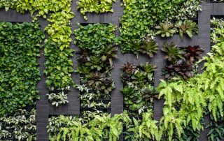 Do Living Walls Boost Productivity in Workspaces?