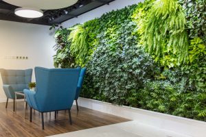 Why are Preserved Moss Walls Trending?