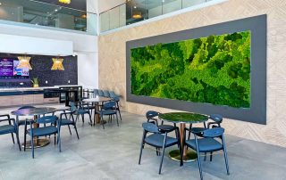 Why Are preserved Moss Walls Trending?
